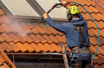 Démoussage et hydrofuge de toiture à Sauviat